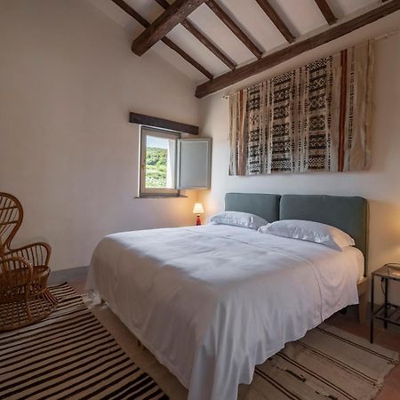 Locanda Fontelupa Campagnatico Zimmer foto